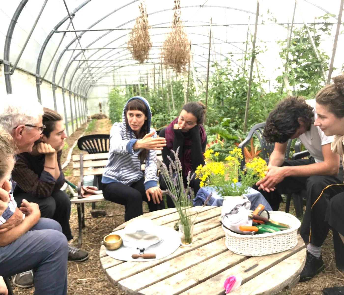 Im Gewächshaus mit Gestik